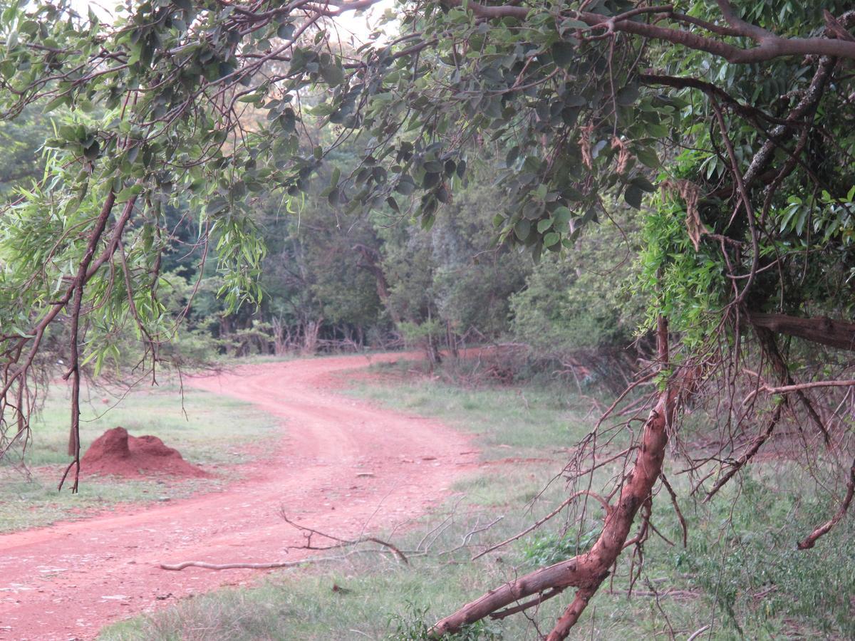 Harties Is Africa Safari Lodge Kosmos Экстерьер фото