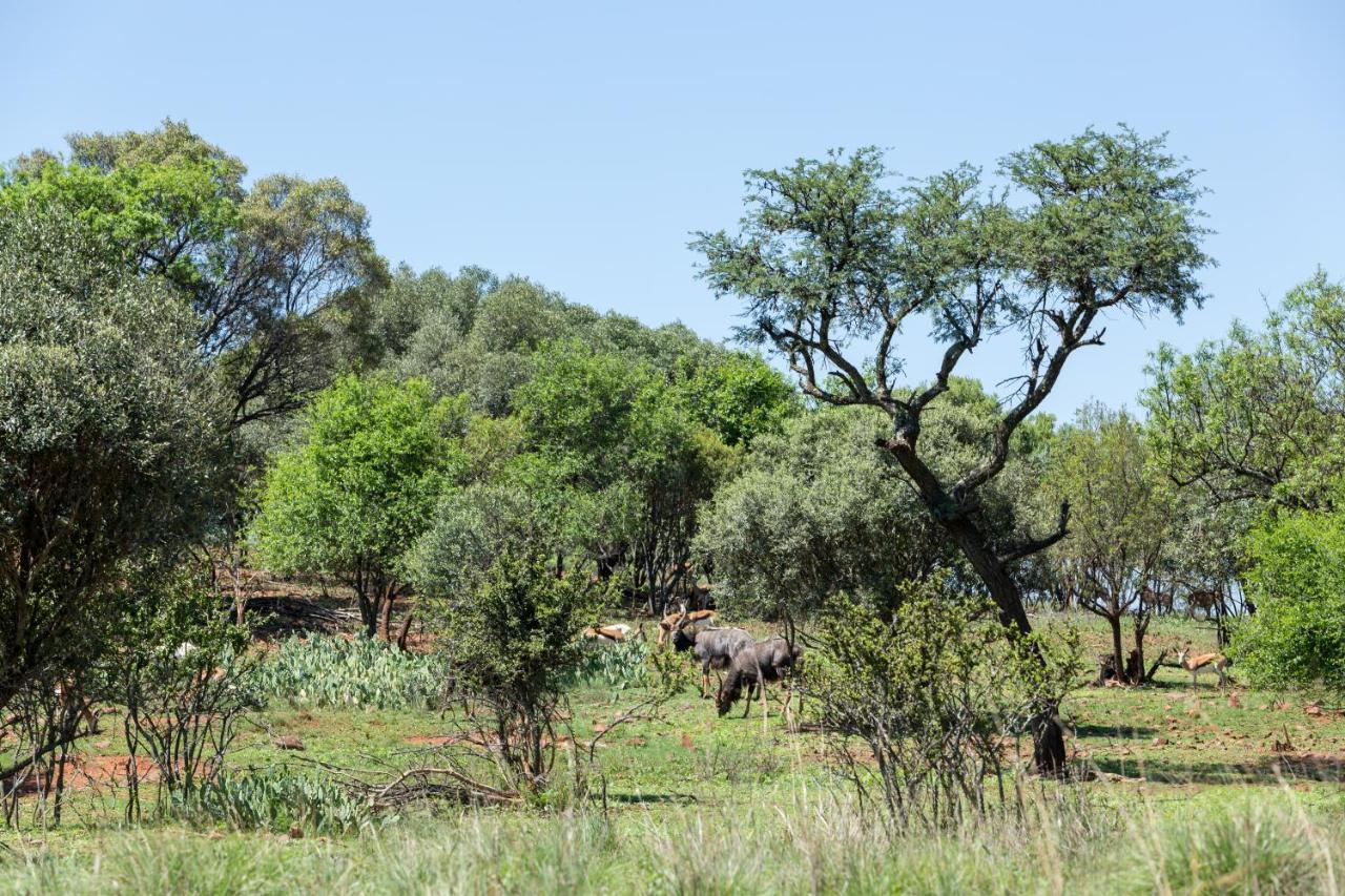 Harties Is Africa Safari Lodge Kosmos Экстерьер фото