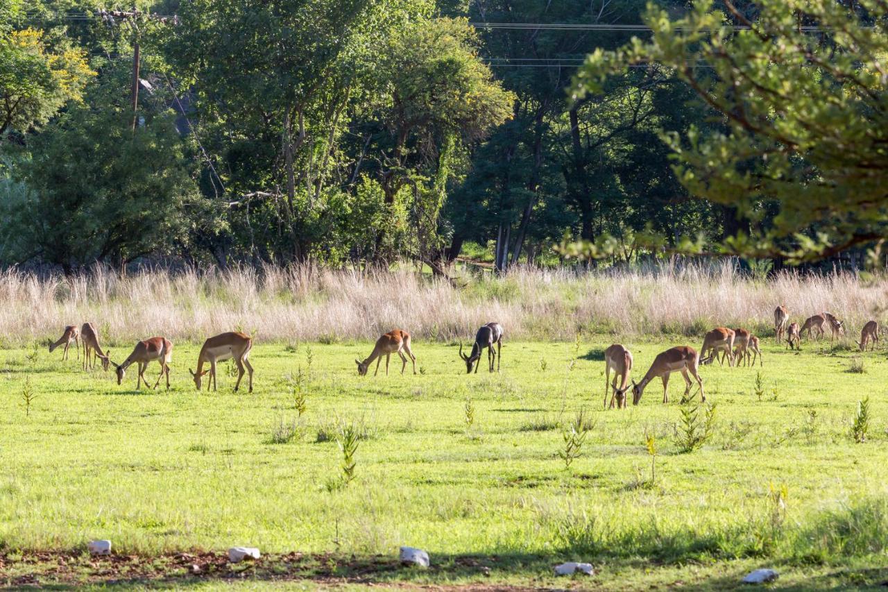Harties Is Africa Safari Lodge Kosmos Экстерьер фото