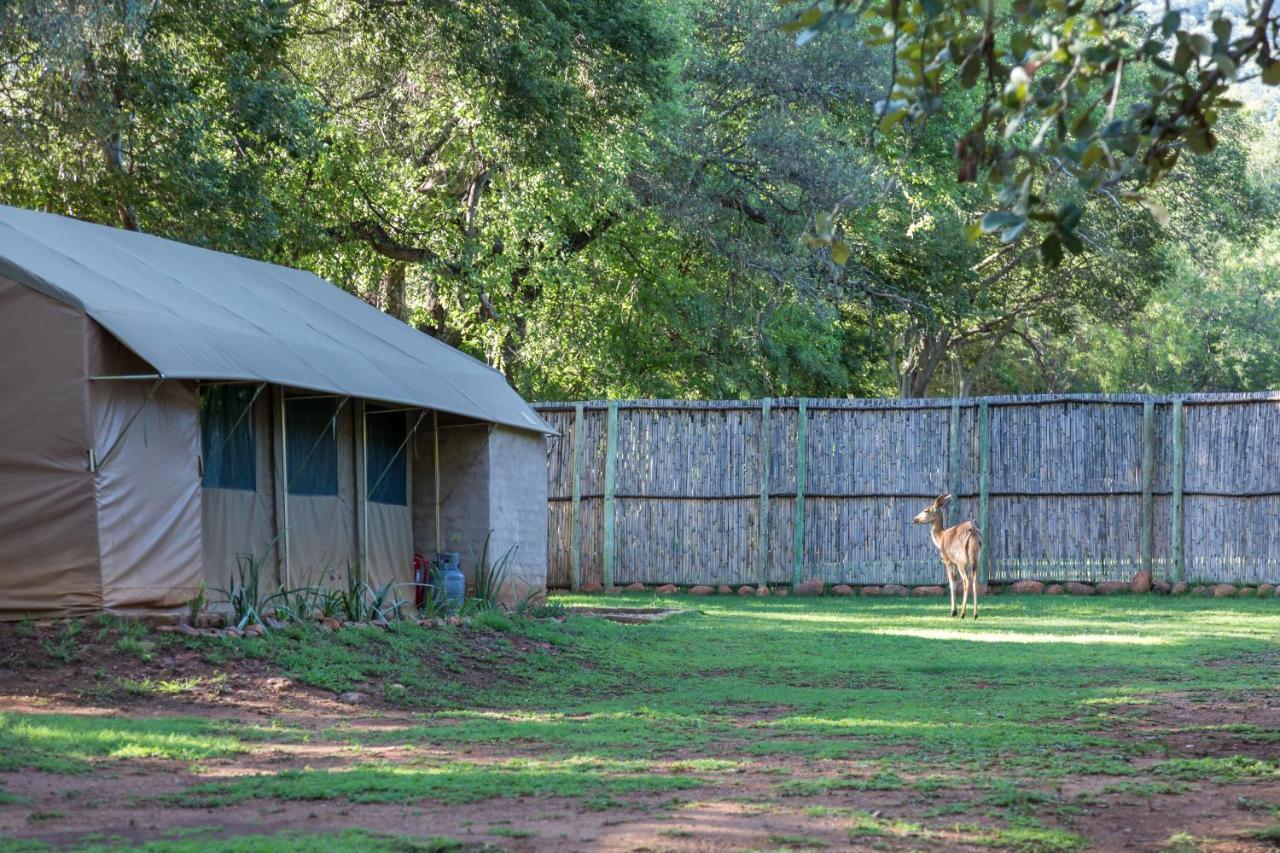 Harties Is Africa Safari Lodge Kosmos Экстерьер фото