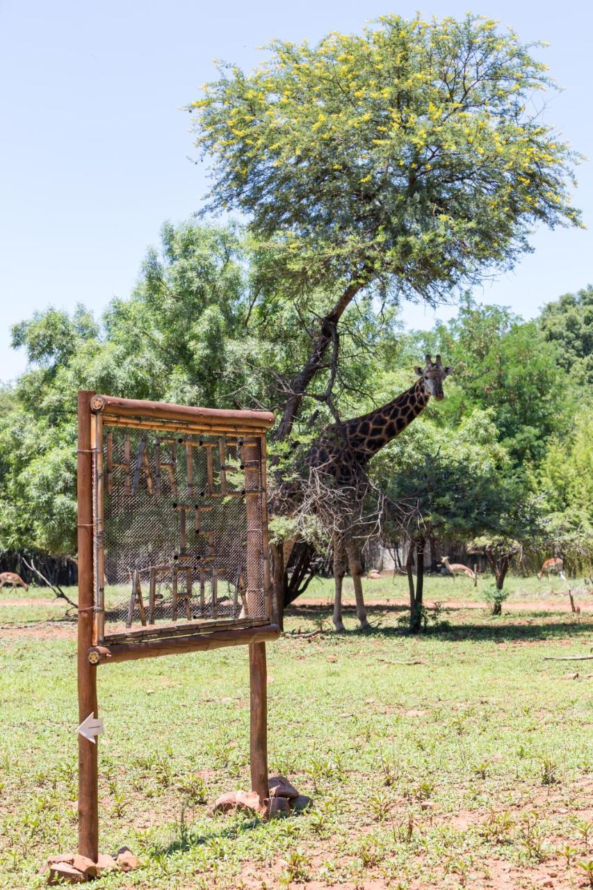 Harties Is Africa Safari Lodge Kosmos Экстерьер фото